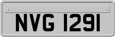 NVG1291