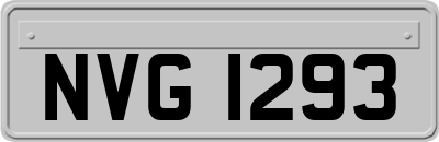 NVG1293
