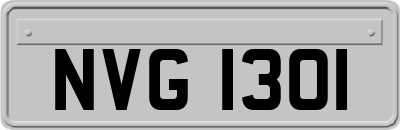 NVG1301