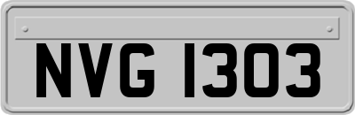 NVG1303