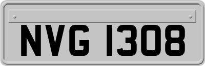 NVG1308