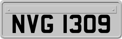 NVG1309