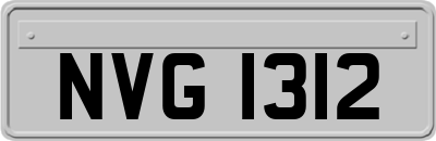 NVG1312