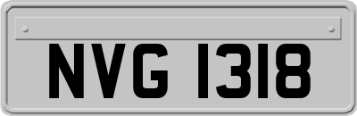 NVG1318