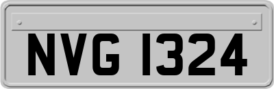 NVG1324