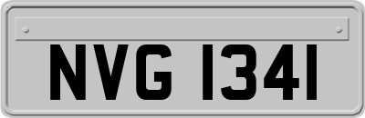 NVG1341