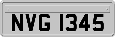 NVG1345