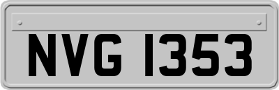 NVG1353