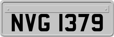 NVG1379