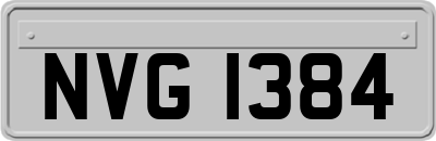 NVG1384