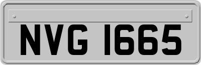 NVG1665