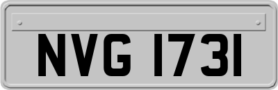 NVG1731