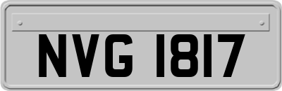 NVG1817
