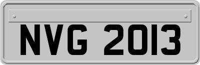 NVG2013