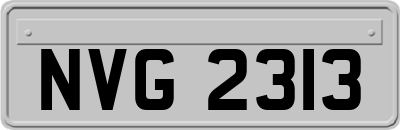 NVG2313