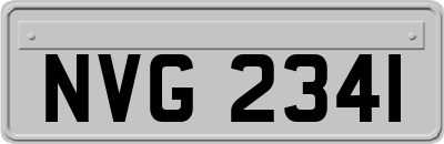 NVG2341