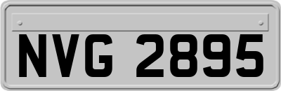 NVG2895