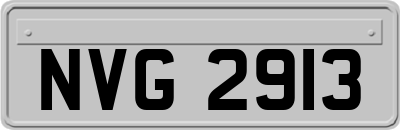 NVG2913