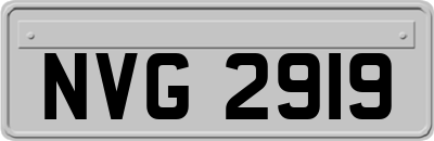 NVG2919