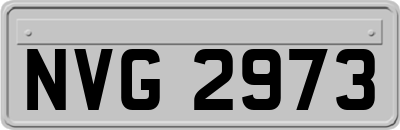 NVG2973