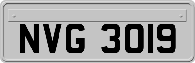 NVG3019