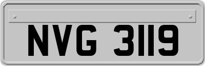 NVG3119