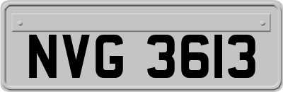 NVG3613