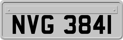 NVG3841