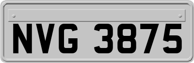 NVG3875