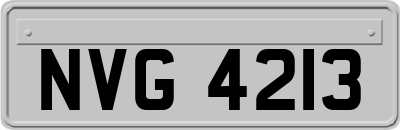 NVG4213