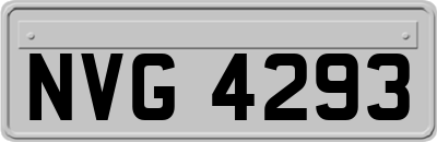 NVG4293