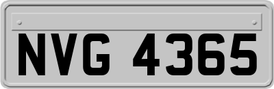 NVG4365