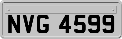 NVG4599