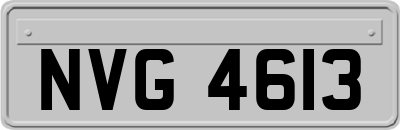 NVG4613