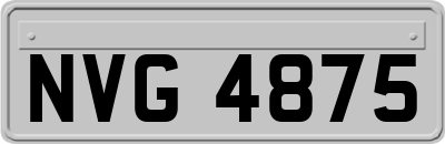 NVG4875