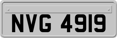 NVG4919