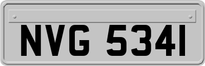 NVG5341