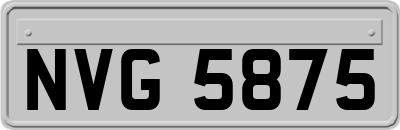 NVG5875