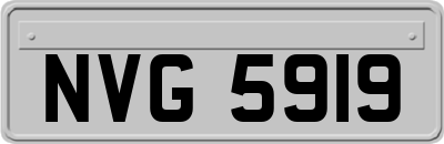 NVG5919