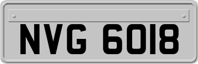NVG6018