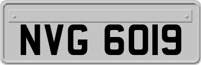 NVG6019