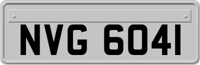 NVG6041