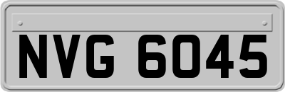 NVG6045