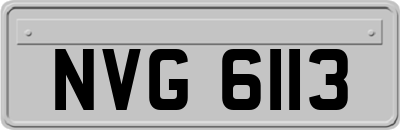 NVG6113