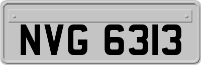 NVG6313