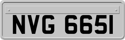 NVG6651