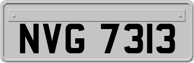 NVG7313