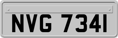 NVG7341