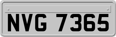 NVG7365