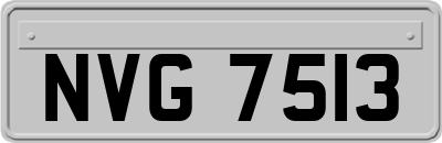 NVG7513